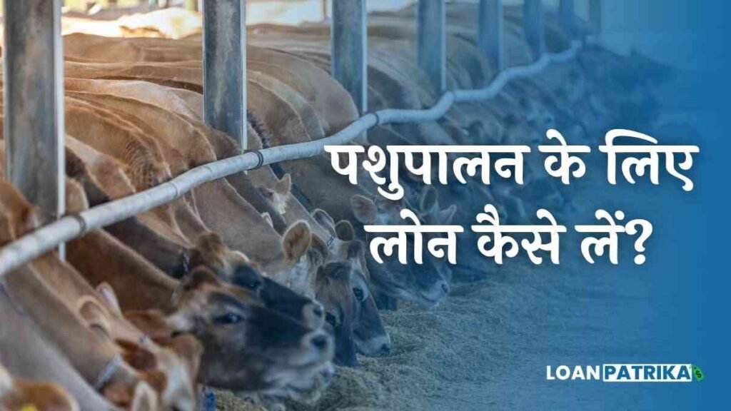 Pashupalan Loan Yojana 2023 पशुपालन के लिए लोन कैसे लें